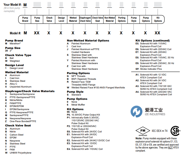 MARATHON气动隔膜泵M20系列 爱泽工业 izeindustries.png