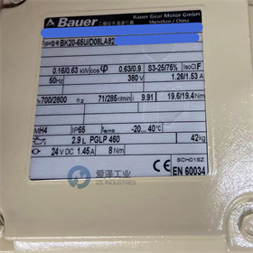 BAUER减速机BK20-65UD08LA82-TF-D-FV-KESX010A8SP 爱泽工业 izeindustries (4).jpg