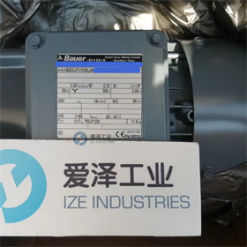 BAUER减速机BS03-37VD08LA6 爱泽工业 izeindustries (6).jpg