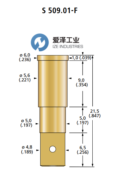 FIXTEST探针S 509.01-F 爱泽工业 izeindustries.png