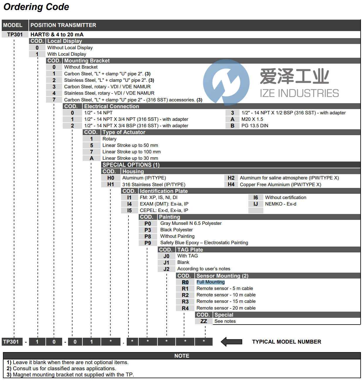 SMAR变送器TP301-00-A1.H0IEP0S0J0R0 爱泽工业 ize-industries (2).png