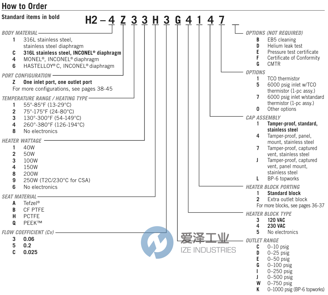 GO REGULATOR调节器H2-1L33Q3E4111 爱泽工业 ize-industries (2).png