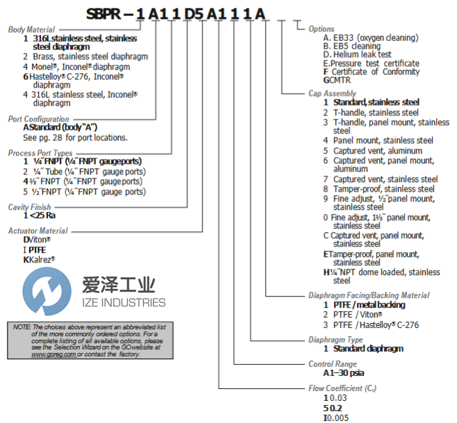 GO REGULATOR调节器SBPR-1B11IIA111E爱泽工业izeindustries.png