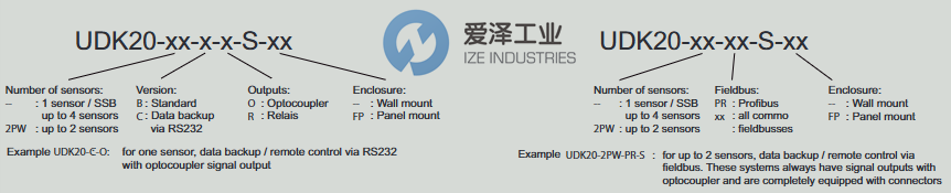 ROLAND检测仪UDK20-2PW-PN-S爱泽工业izeindustries.png