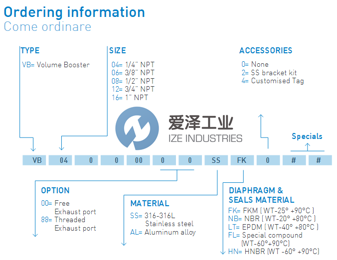 SITECNA增压器 VB16000088ALLT0爱泽工业 izeindustries.png